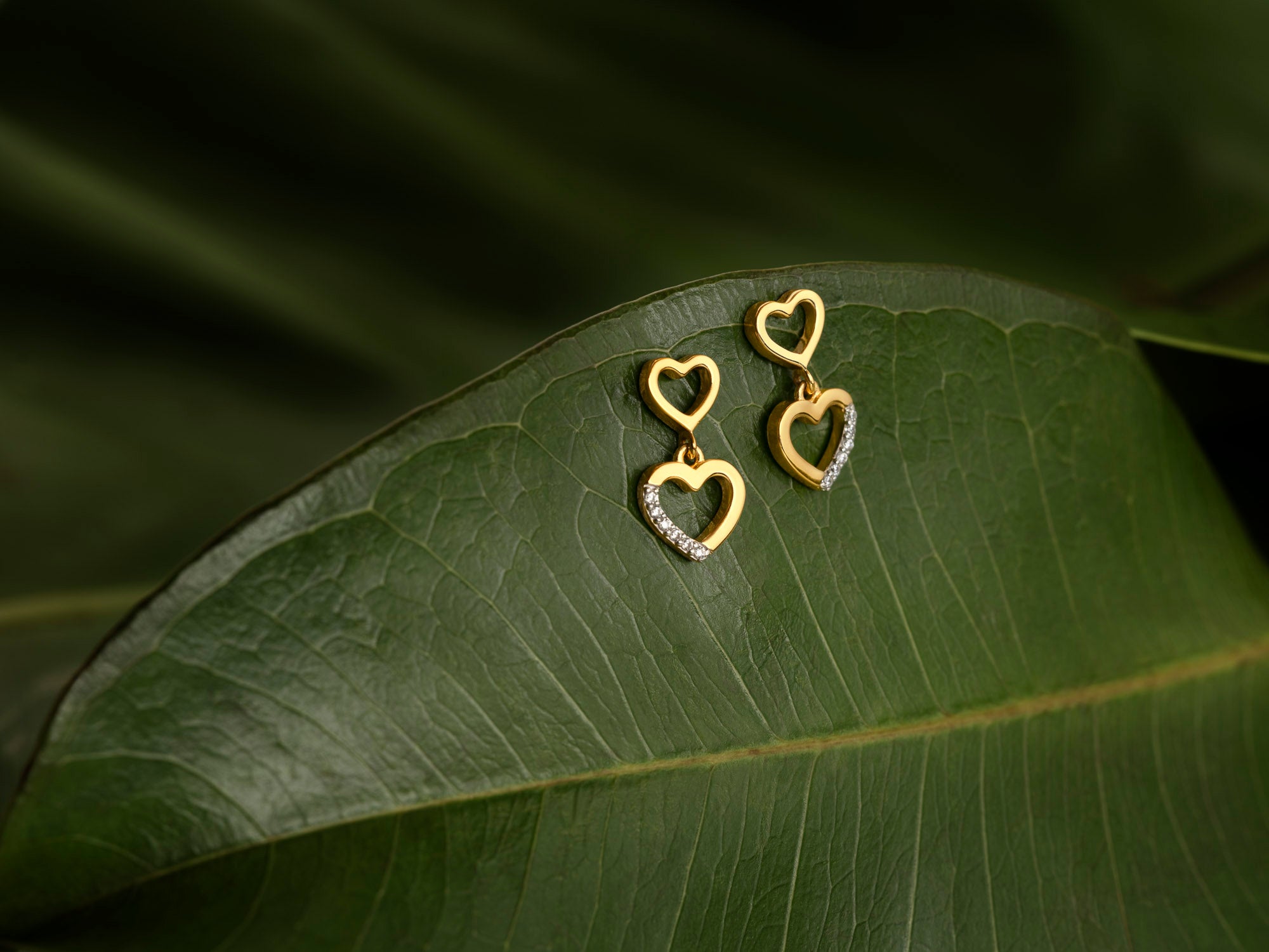 Eternal Love Earring