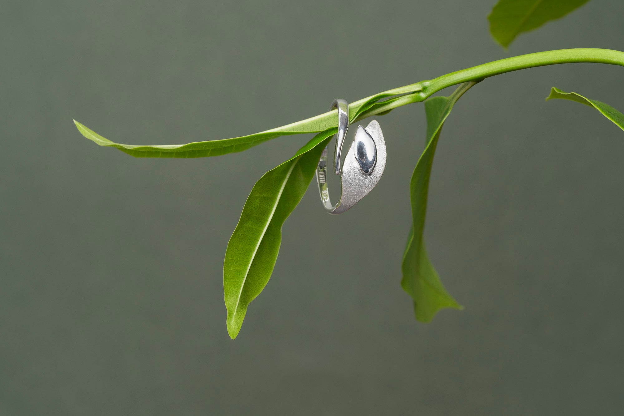 Echoes of Silver Ring