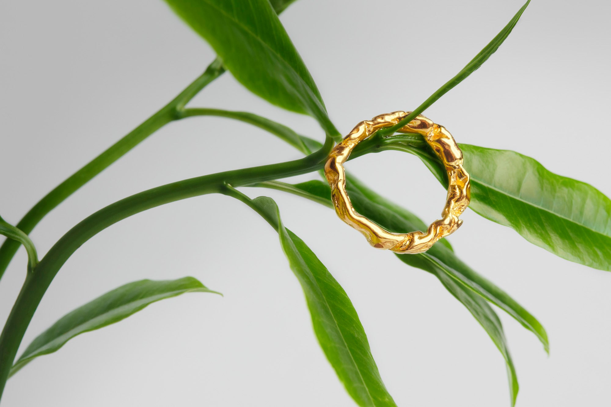 Forest Path Ring
