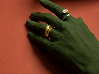 Twin Accord Ring