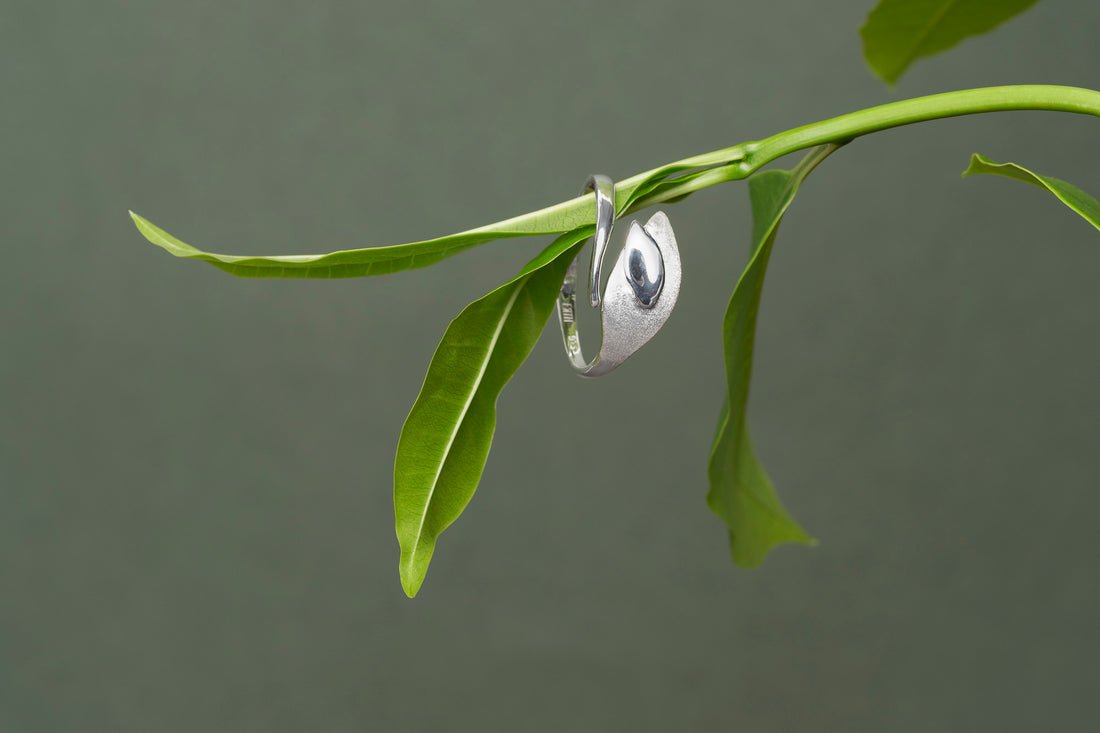 Echoes of Silver Ring