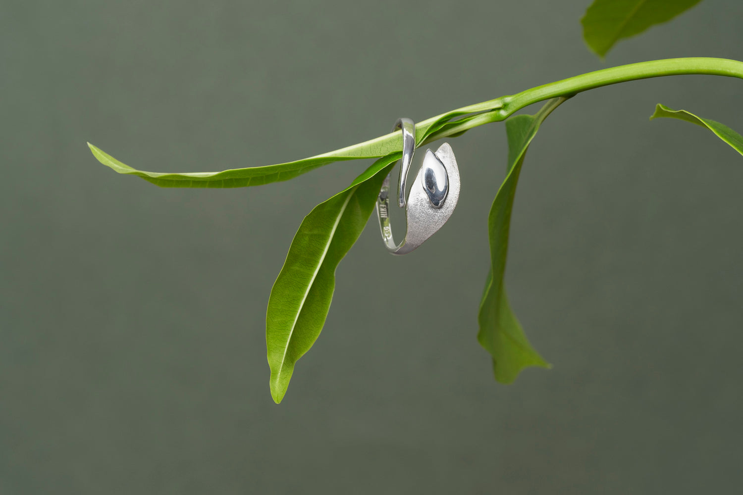 Echoes of Silver Ring