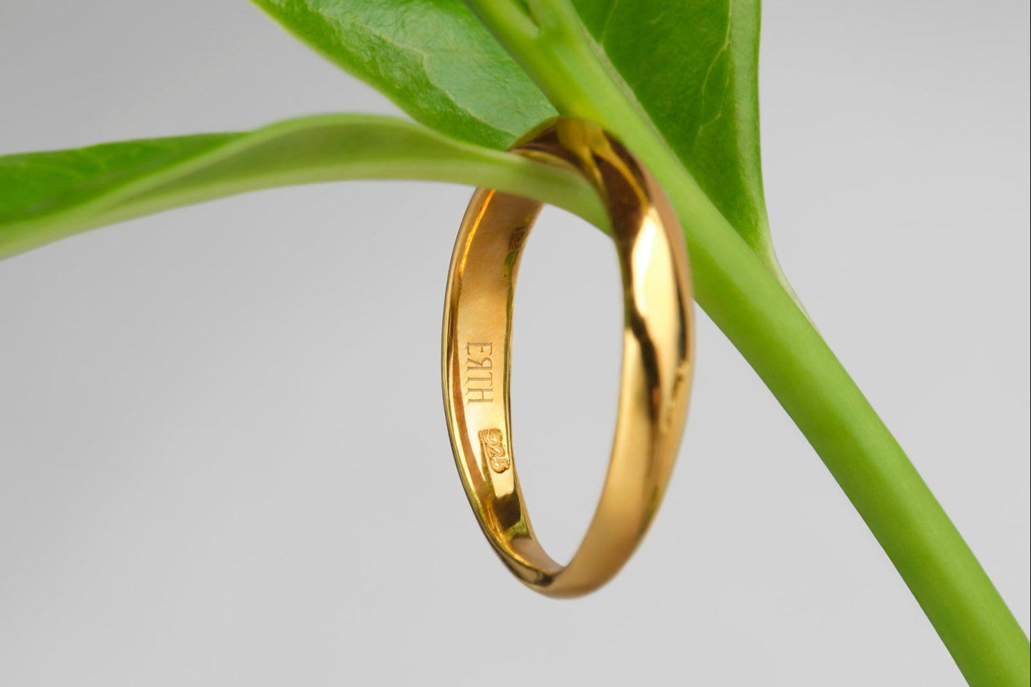 #color_gold